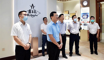 河源市副市长刘东豪到广东霸王花集团调研