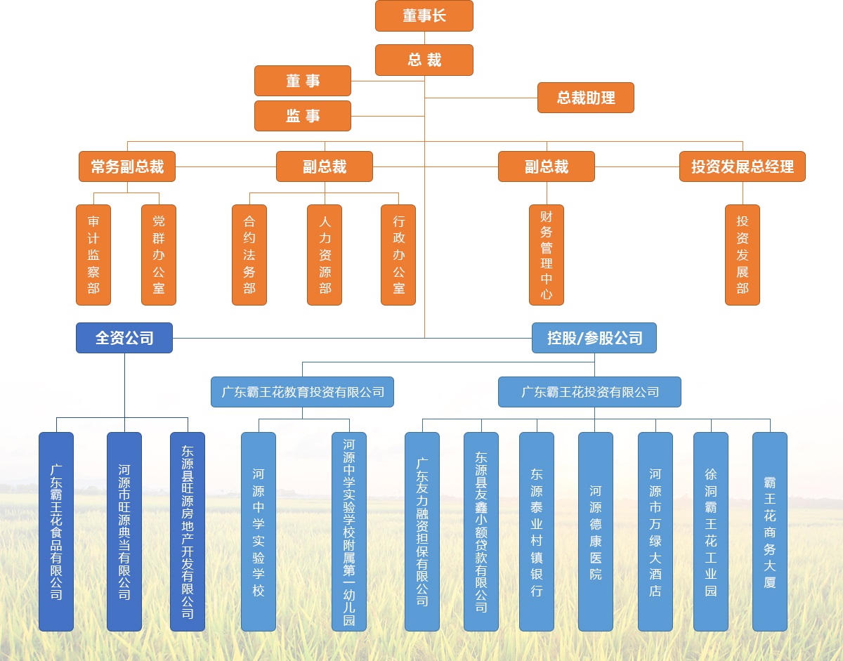组织架构 - 广东霸王花实业集团有限公司